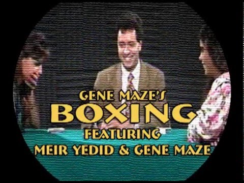 YouTube video player