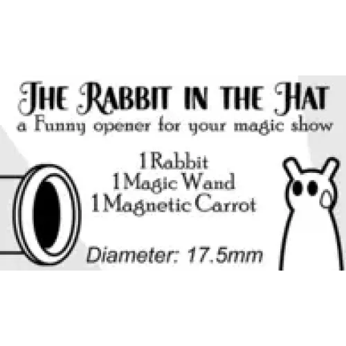 The Rabbit In the Hat by Creativity Lab