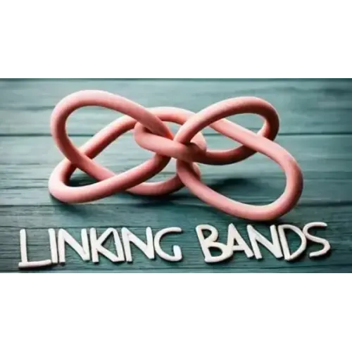 Linking Bands by Fernando Moreno