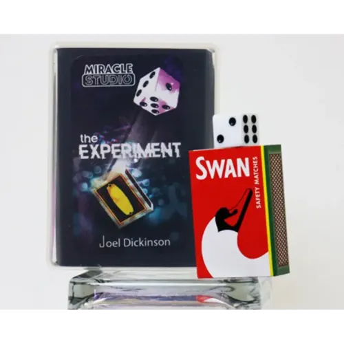 The Experiment by Joel Dickinson