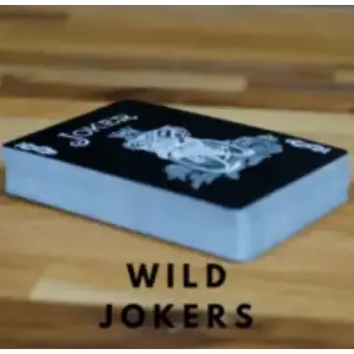 Wild Jokers by Aaron Lewis