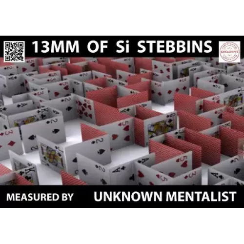 13Mm Of Si Stebbins by Unknown Mentalist