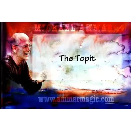 2010 Lecture Notes by Michael Ammar