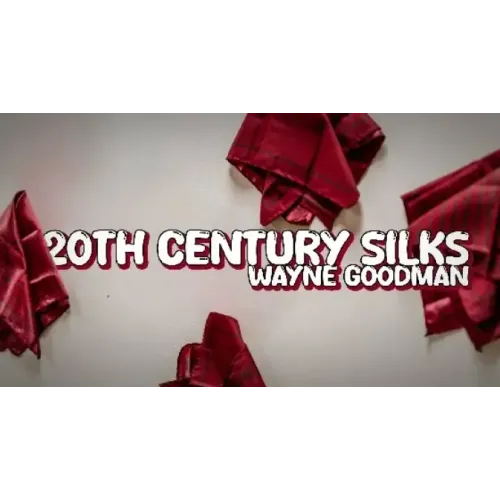 Wayne Goodman - 20Th Century Silks