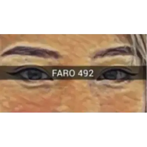 FARO 492 by TN and JJ Team (Instant Download)