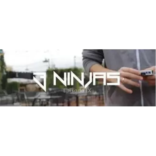3 Ninjas by Chris Brown