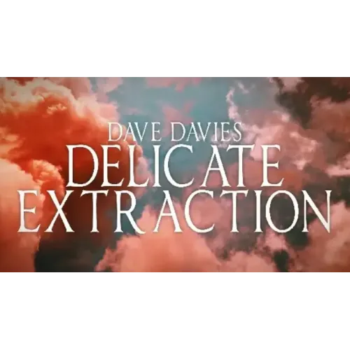 Dave Davies – Delicate Extraction