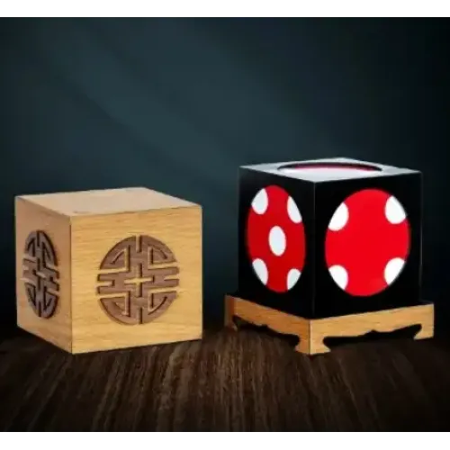 Fun Cube by Tora Magic Company