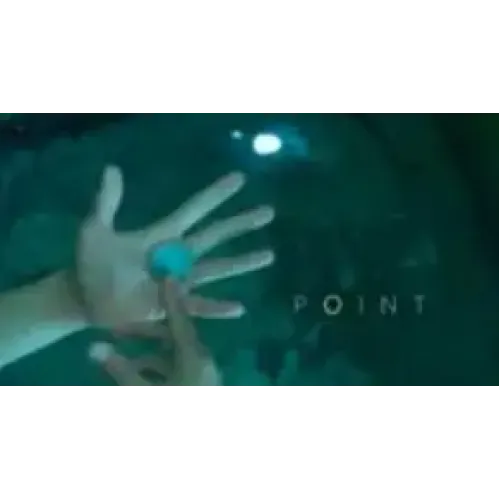 POINT by Rogelio Mechilina (Instant Download)