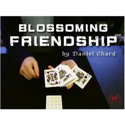 Blossoming Friendship by Daniel Chard