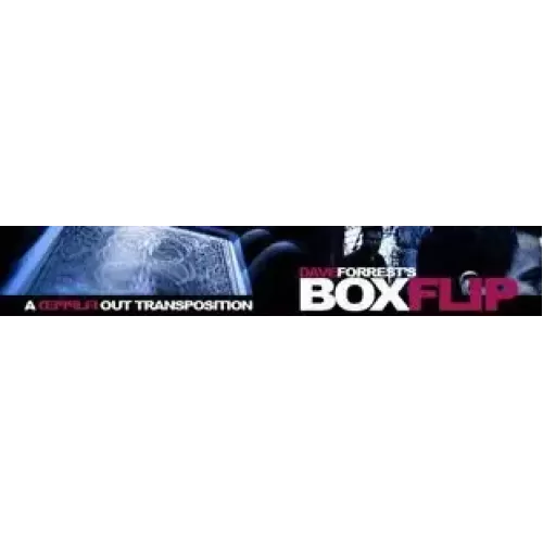 Boxflip by Dave Forrest