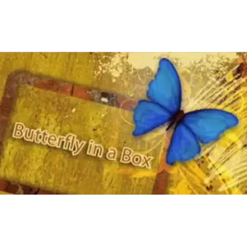 Butterfly In A Box by Mark Presley