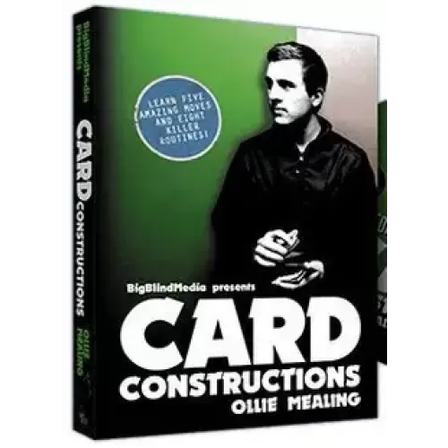 Card Constructions by Ollie Mealing