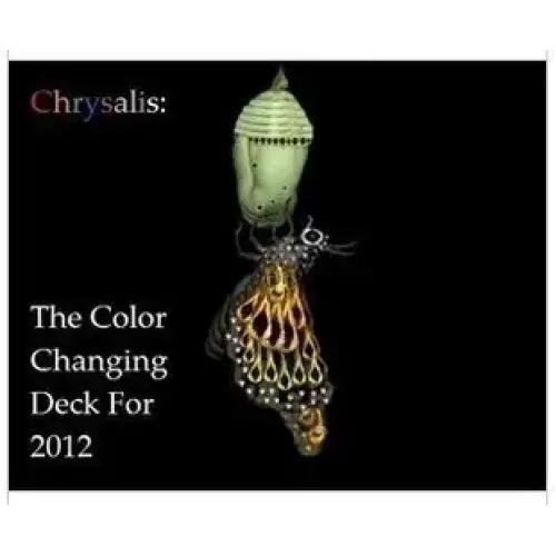 Chrysalis by Justin Miller