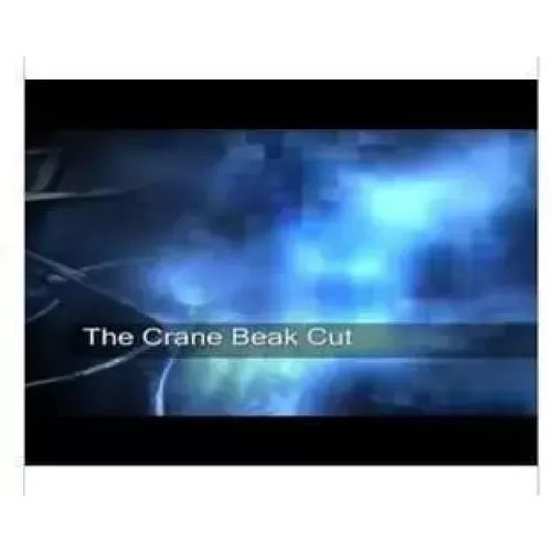 The Crane Beak Cut by Owen Packard