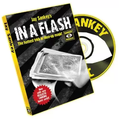 In A Flash by Jay Sankey