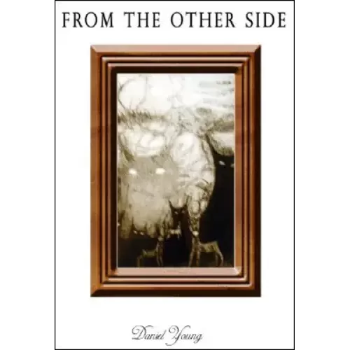 From The Other Side by Daniel Young