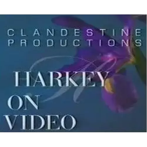 Harkey On Video by David Harkey