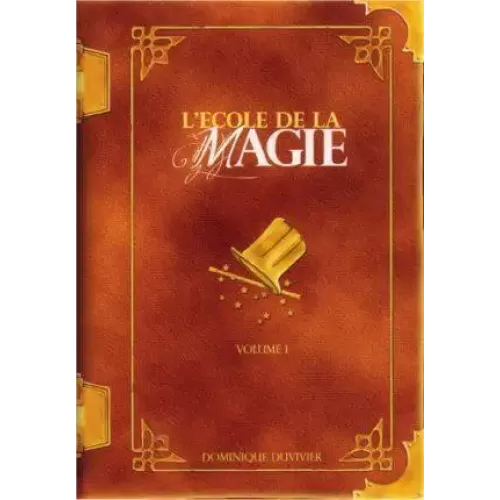 L'Ecole De La Magie (1-3) by Dominique Duvivier