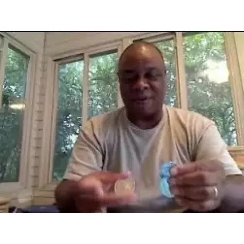 My Fly by Marion Boykin