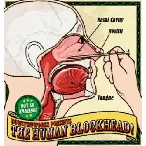 Nail In Nose by Human Blockhead