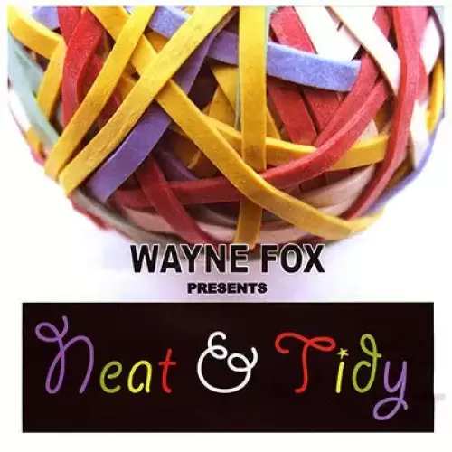 Neat And Tidy by Wayne Fox