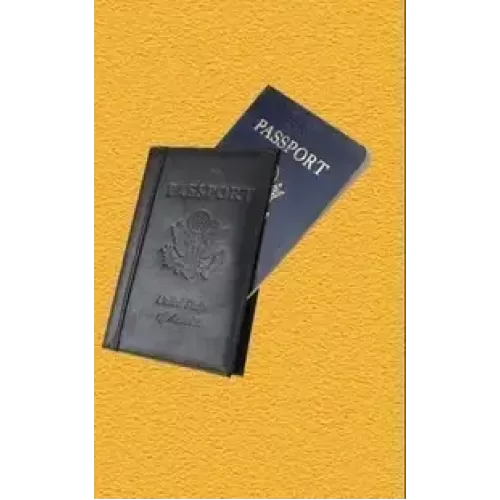 Passport by David Regal