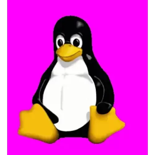 Penguin Magic Collection