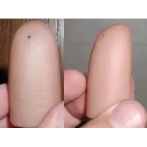 Perfect Thumb Writer by Jimmy Fingers
