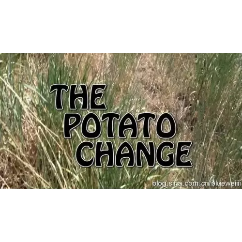 Potato Change by Gerald Robinson