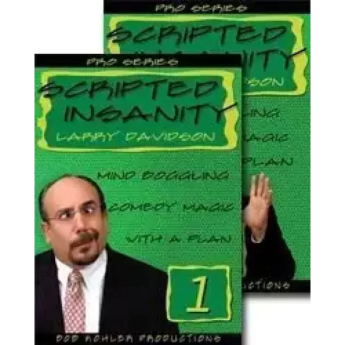 Scripted Insanity by Larry Davidson