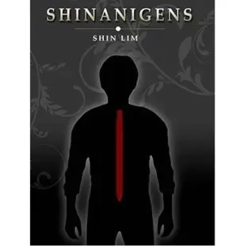 Shinanigens (1-2) by Shin Lim