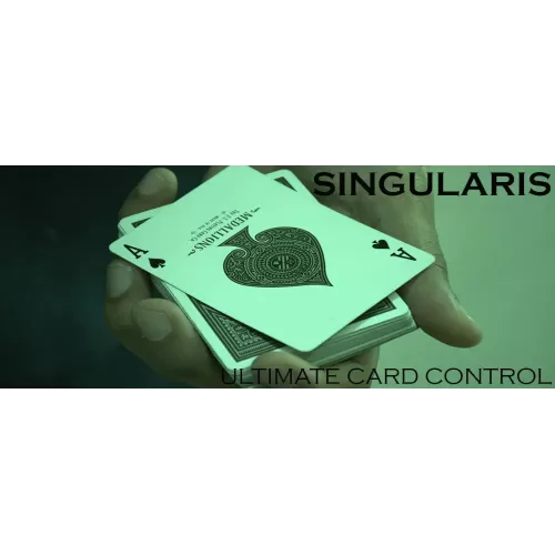 Singularis by Vivek Singhi