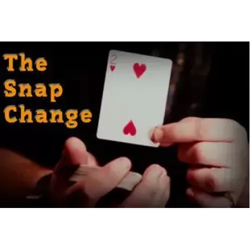The Snap Change by Michael Hankins