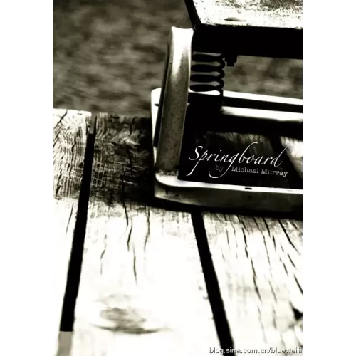 Springboard by Michael Murray
