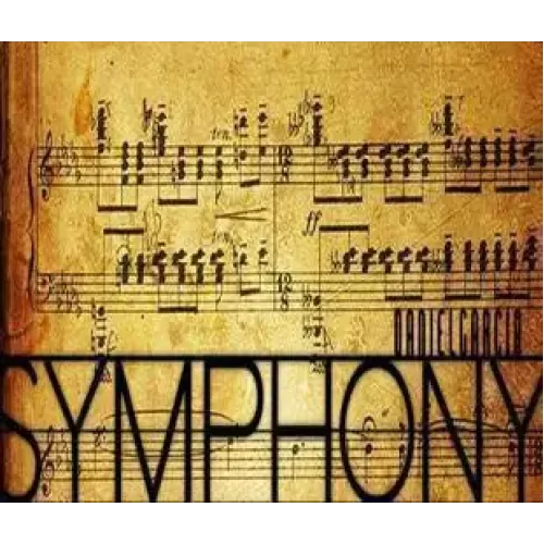 Symphony by Daniel Garcia
