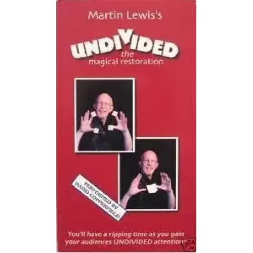 Undivided by Martin Lewis