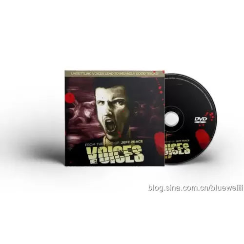 Voices by Jeff Prace