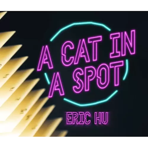 A Cat In A Spot by Eric Hu