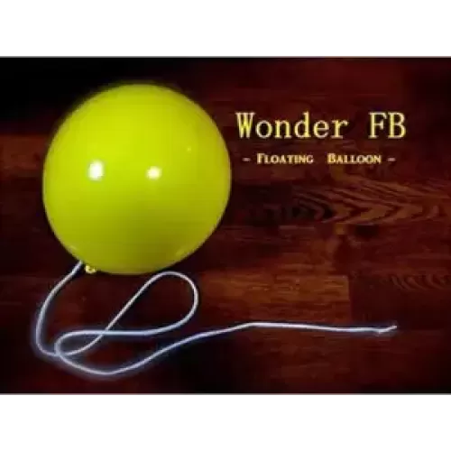 Balloon by Wonder Floating