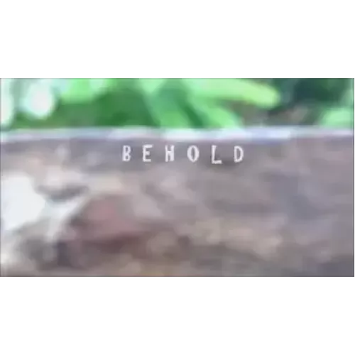 Behold by Arnel Renegado
