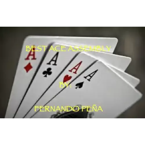 Best Ace Assembly by Fernando Pena