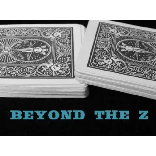 Beyond The Z by Steve Reynolds