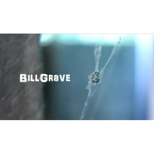 Bill Grave by Arnel Renegado