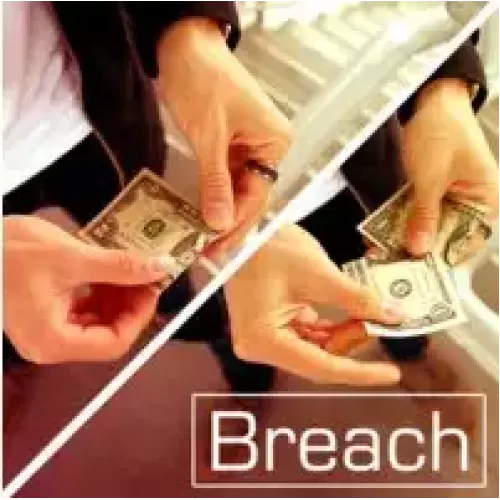 Breach by Patrick Kun