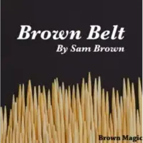 Brown Belt by Sam Brown