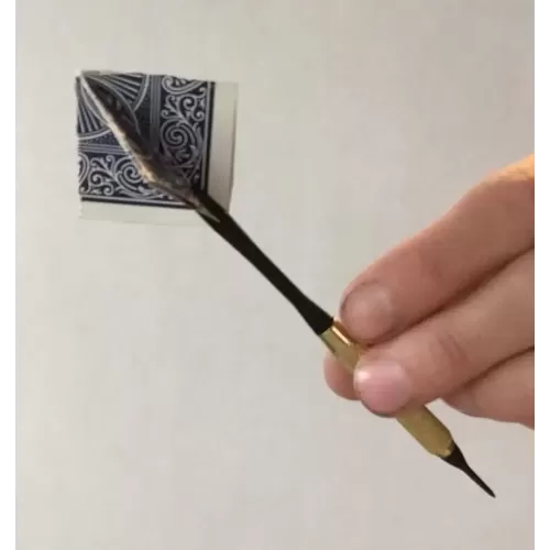 Card Flight by Ron Jaxon