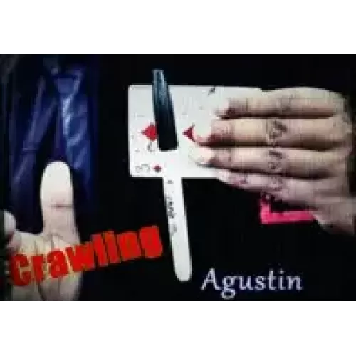 Crawling by Agustin