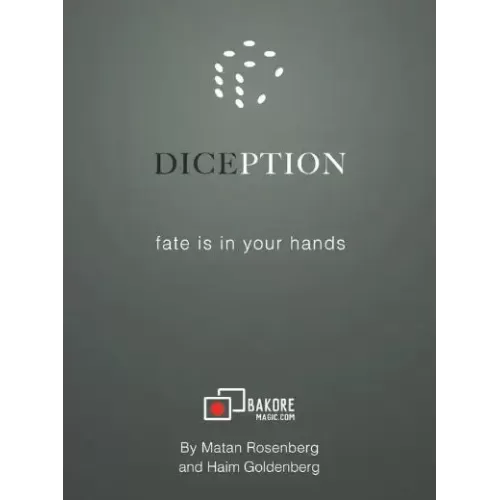 Diception by Matan Rosenberg & Haim Goldenberg