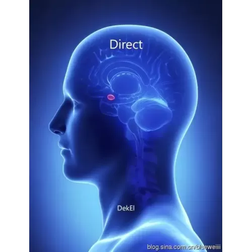 Direct by Bill Dekel